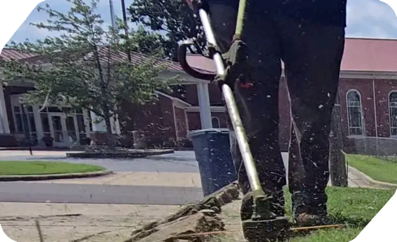 Grass Trimming