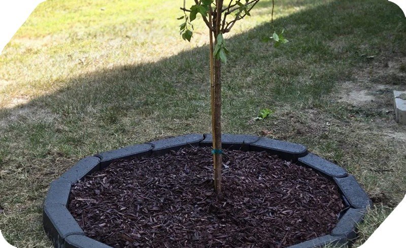 Garden Edging